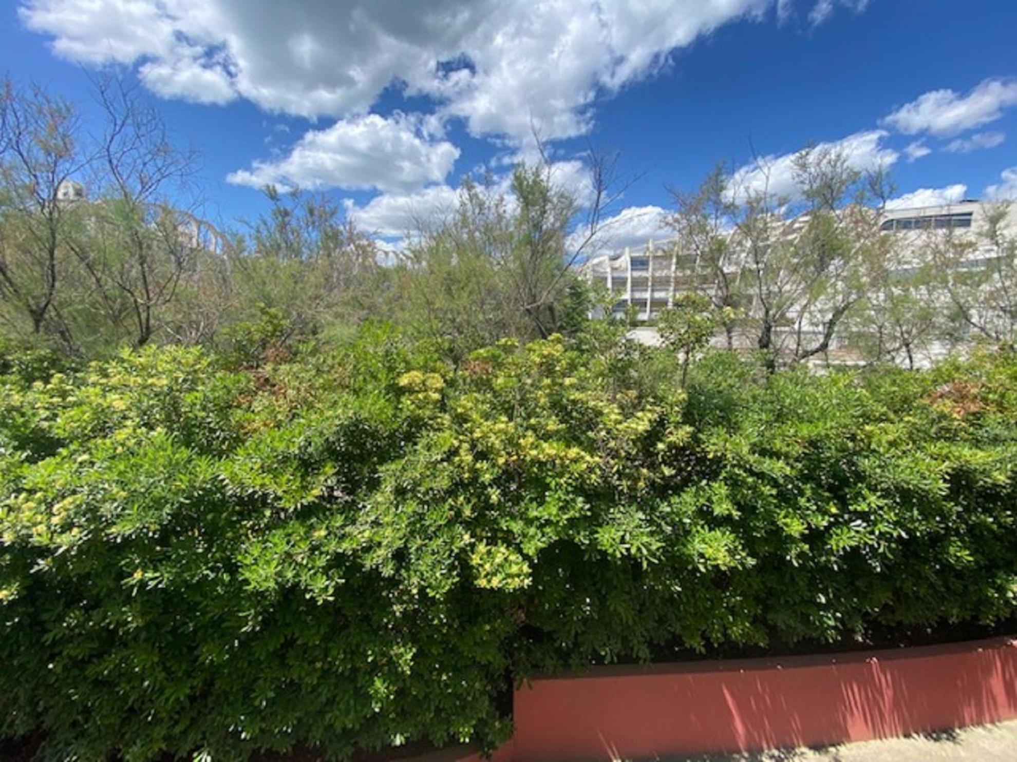 Vittoria Immobilier 4-Reglement Sur Place -Cheques Vacances Acceptes La Grande-Motte Buitenkant foto